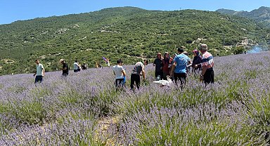 Osmaniye'de lavanta bahçesi ziyarete açıldı