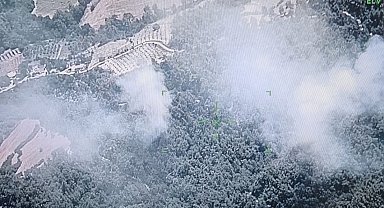 Osmaniye'de orman yangını