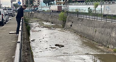 Rize'de derede balık ölümlerine inceleme