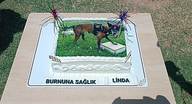 Sağlık sorunları nedeniyle emekli edilen 'Linda' için pasta kesildi