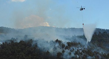 Sakarya'da çıkıp Bilecik'e sıçrayan orman yangını 3'üncü gününde