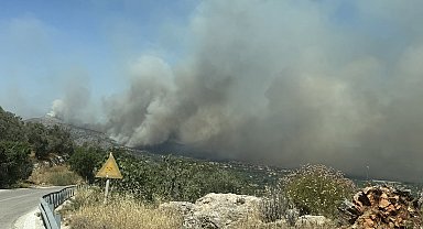 Sakız Adası'ndaki orman yangınında kundaklama şüphesi araştırılacak