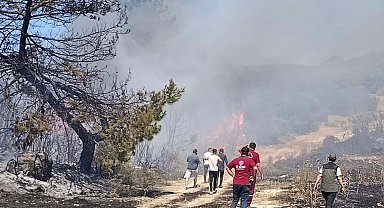 Semaver yakarken ormanı da yakan kadına ev hapsi cezası verildi