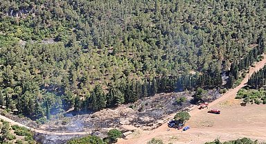 Semaver yakarken ormanı da yaktı; gözaltında