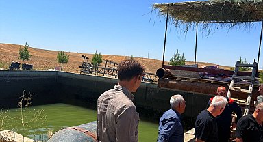 Serinlemek için girdiği sulama havuzunda boğuldu