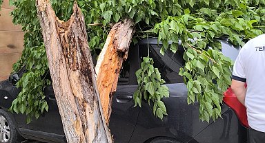 Siirt'te şiddetli rüzgar; otobüs durağı ve ağaçlar devrildi, çatılar uçtu