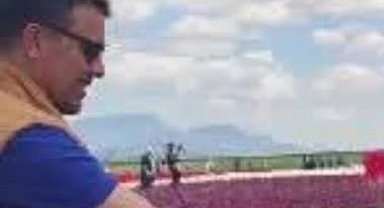 Sosyal medyadan öldüğünü yaydılar; asılsız paylaşımlara tepki gösterdi