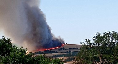 Tekirdağ'da 200 dönüm buğday tarlası yandı