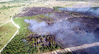 Tekirdağ'da ormanlara girişler yasaklandı