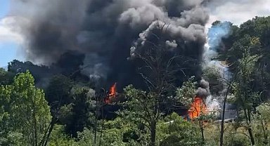 TIR'daki yangın ormana sıçradı; 10 dönüm alan zarar gördü