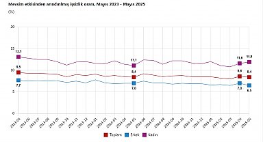 TÜİK: Mayısta işsizlik oranı yüzde 8,4 oldu