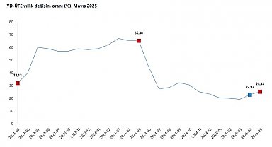 TÜİK: Yurt dışı üretici fiyatları mayısta arttı