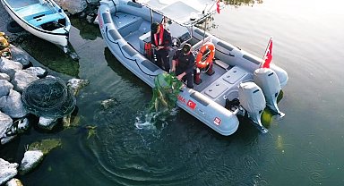 Uluabat Gölü'nde usulsüz avlanan 3 balıkçıya 52 bin TL ceza