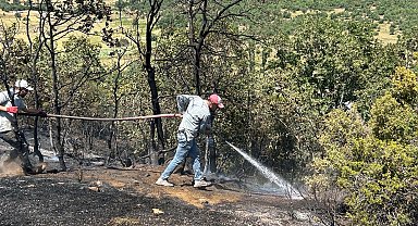 Uşak'ta meşelikte çıkan yangın, 3 saatte söndürüldü