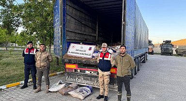 Van'da denetimlerde 22 ton 475 kilogram inci kefali ele geçirildi
