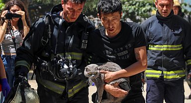 Yangında mahsur kaldığı evde kedisini bir an bile bırakmadı