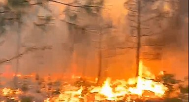 Yıldırım, orman yangınına neden oldu; 2 hektar zarar gördü