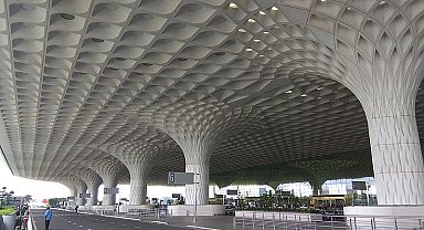 Yolcunun valizinden 48 zehirli yılan ve 5 kaplumbağa çıktı