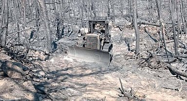 10 orman savaşçısının şehit olduğu alanın fotoğrafları ortaya çıktı