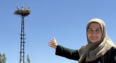 20 yıldır aileye 'yarenlik' ediyorlar