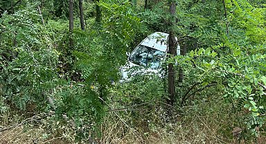 3 kişinin yaralandığı kazada otomobildeki kediyi de sağlıkçılar kurtardı
