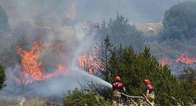 'İzmir'in geçen yıl kuzeyi, bu yıl batısı yangına teslim oldu'