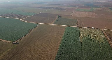 'İzmir'in verimli tarım alanları birkaç on yılda üretimden düşebilir'