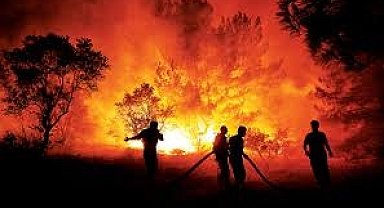 'Uçaktan atılan su sadece yangını geciktirir, esas mücadele yerde yapılır'