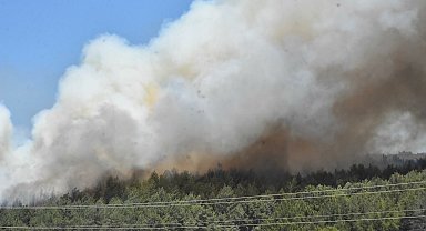 'Yangında atmosfere yayılan kirleticiler, sağlık açısından en riskli kirletici grubunu oluşturur'