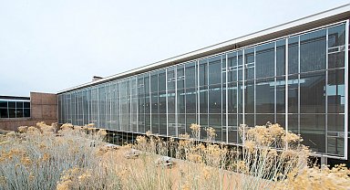 ABD'de üniversitenin yurdunda silahlı saldırı: 1 ölü, 1 yaralı