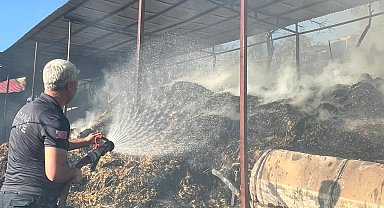 Adana'da ahır yangınında 5 inek öldü