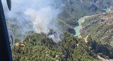 Adana'da orman yangını