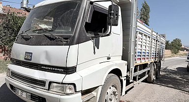 Afyonkarahisar'da kamyonun çarptığı Maşallah, öldü