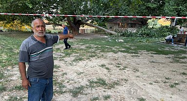 Ağacın kırılan dalı, piknik yapanların üzerine düştü: 11 yaralı