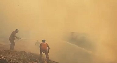 Akhisar'da orman yangını