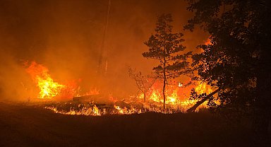 Almanya'nın üç eyaletinde orman yangını