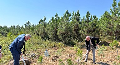 Altınbaş Üniversitesi'nden orman şehitleri için 10 fidan