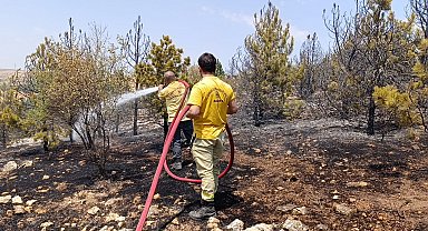 Amasya'da 3 hektar orman yandı