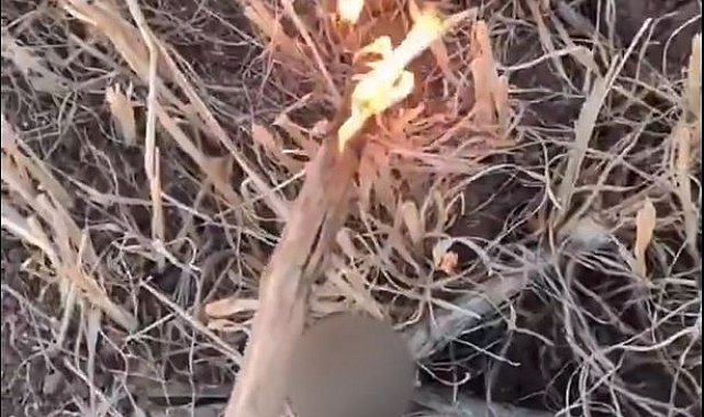 Anız yakıp görüntüleri paylaşan 15 yaşındaki şüpheliye gözaltı