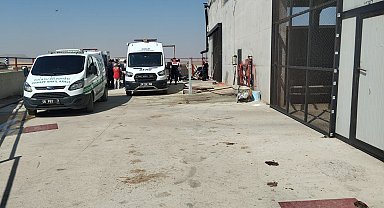 Ankara'da besi çiftliğinde metan gazı zehirlenmesi; 2 işçi öldü