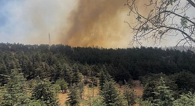 Ankara'da Eymir Gölü çevresindeki ormanda yangın