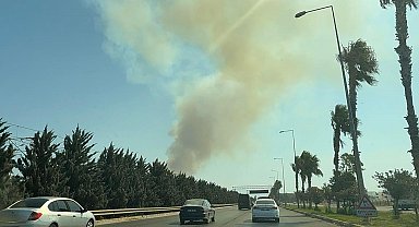 Antalya'da 2 ayrı orman yangını