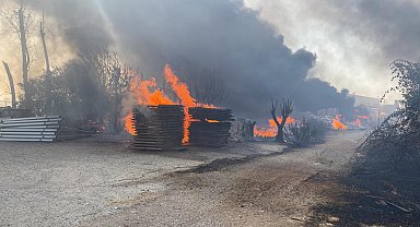 Antalya'da arazide çıkan yangın, mobilya fabrikasına sıçradı