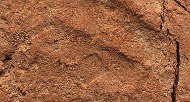 Antik mezarda 4 bin yıllık el izi keşfedildi