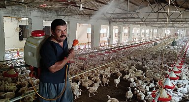 Aşırı sıcakta tavukları buzlu suyla serinletiyor