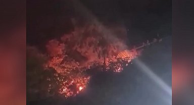 Attıkları havai fişek yangın çıkardı; 4 gözaltı