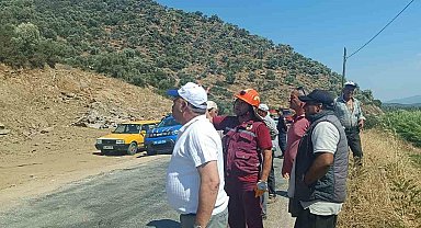 Aydın'da makilik ve zeytinlik alanda yangın çıktı