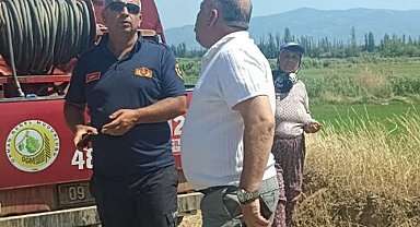 Aydın'da makilik ve zeytinlik alanda yangın çıktı