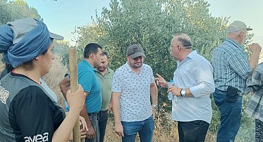 Aydın'da orman yangını