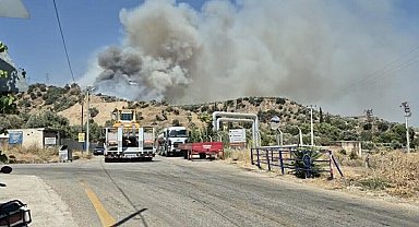 Aydın'da tarım arazisinde yangın